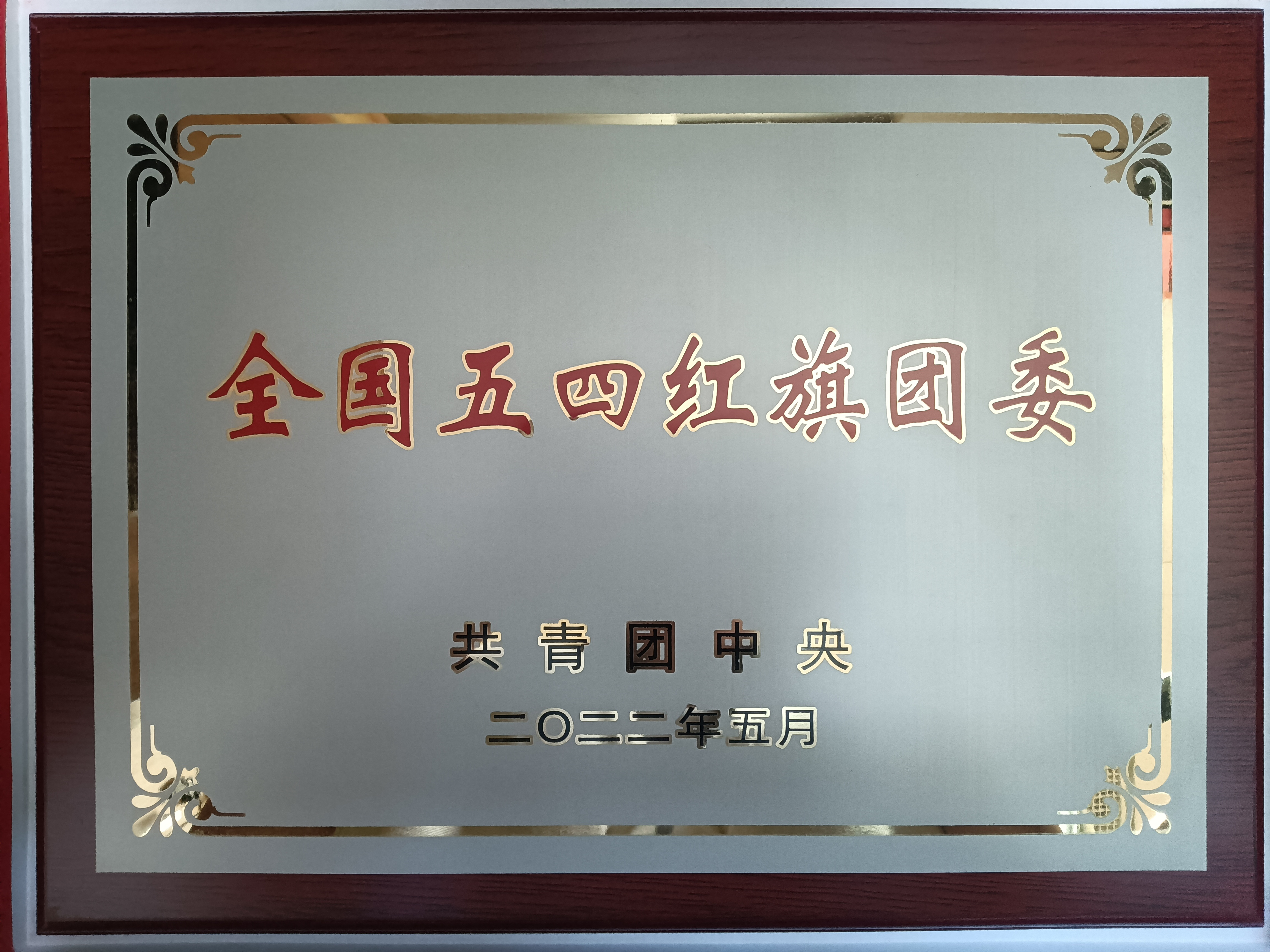 青春當(dāng)燃！2022，有研青年這樣走過