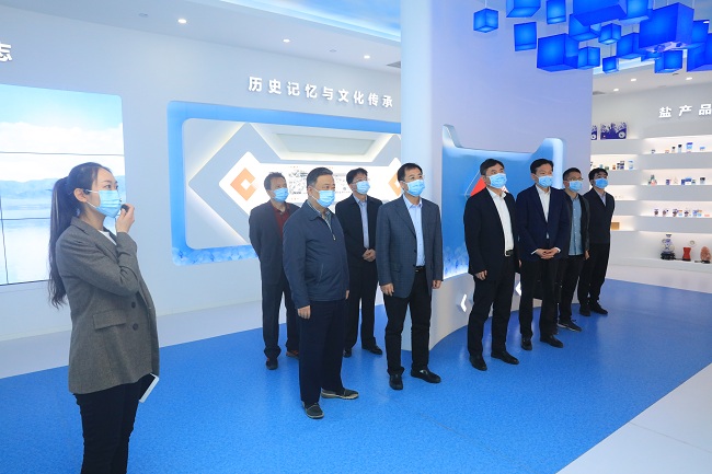 有研集團(tuán)黨委書(shū)記、董事長(zhǎng)趙曉晨到中鹽集團(tuán)調(diào)研交流
