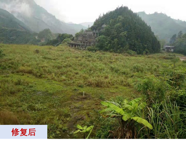 主題教育進(jìn)行時(shí) | “學(xué)思想、強(qiáng)黨性、重實(shí)踐、建新功”有研故事系列展播（十一）打造重金屬污染治理和生態(tài)環(huán)保的有研力量