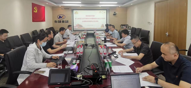 中國(guó)有研領(lǐng)導(dǎo)班子指導(dǎo)基層黨組織主題教育專(zhuān)題民主（組織）生活會(huì)