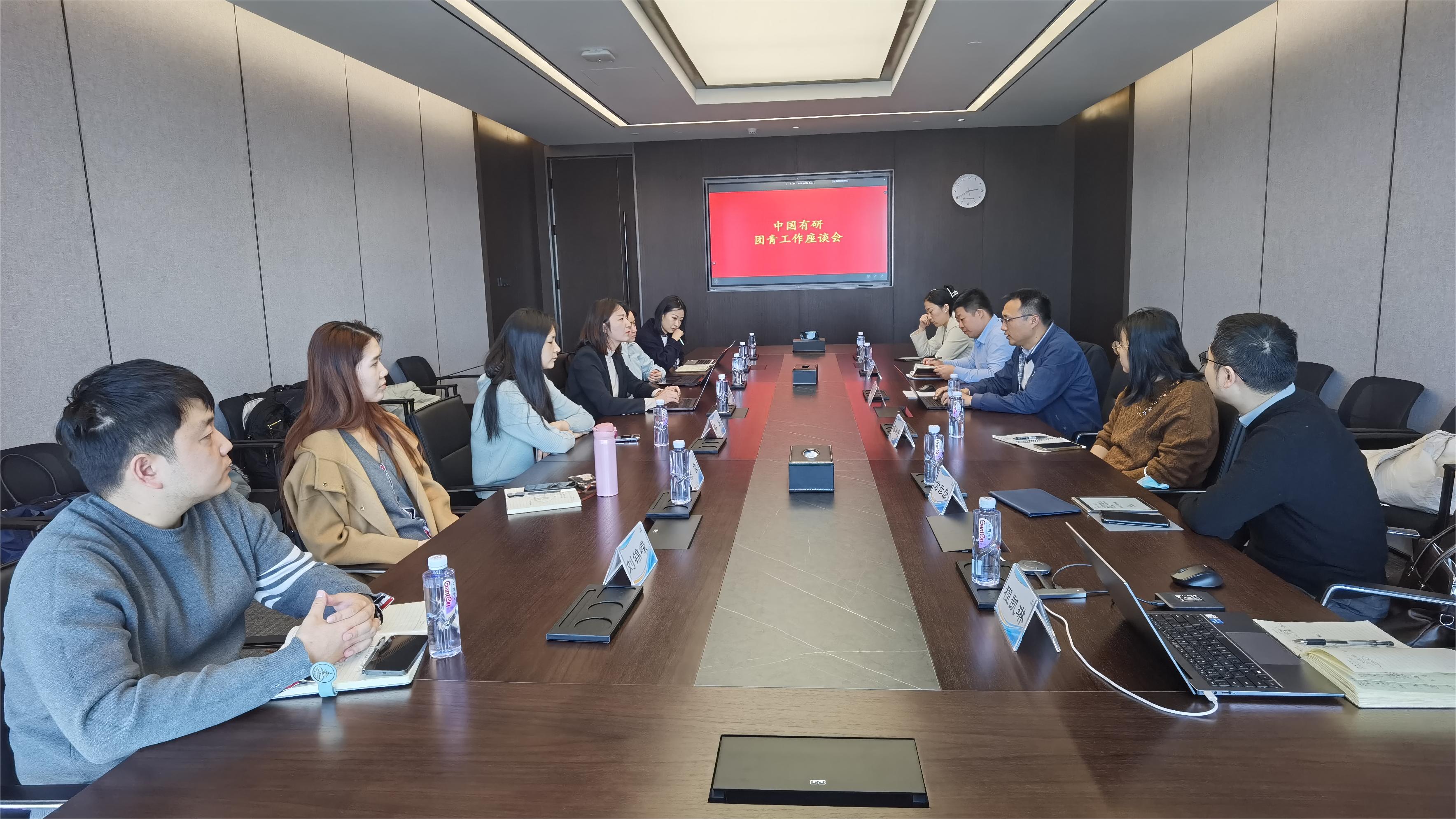 中國有研團委召開團員和青年主題教育總結(jié)座談會